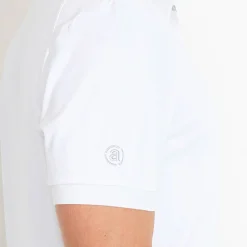 M Hammel Recycled Vit